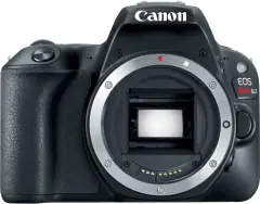 Image cannot be found
