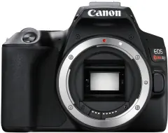 Image cannot be found