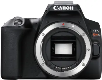 Image cannot be found