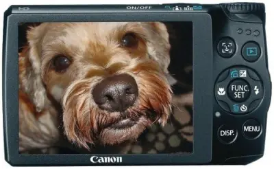 Image cannot be displayed