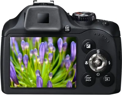 Image cannot be displayed