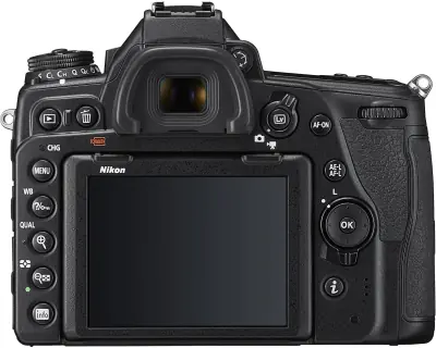Image cannot be displayed