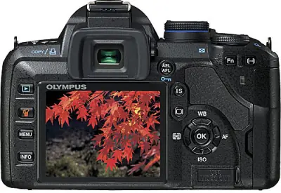 Image cannot be displayed
