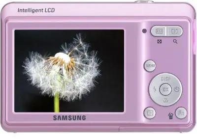 Image cannot be displayed