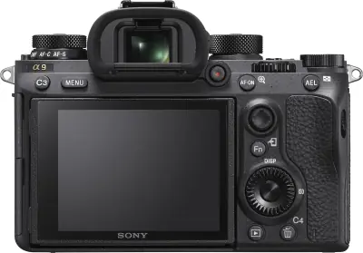 Image cannot be displayed