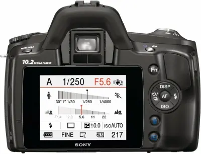 Image cannot be displayed
