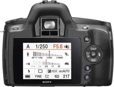 Image cannot be displayed