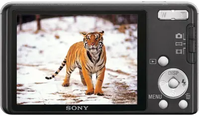 Image cannot be displayed